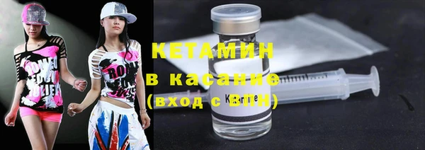 прущие грибы Балахна