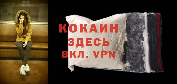 прущие грибы Балахна