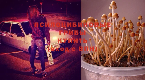 прущие грибы Балахна