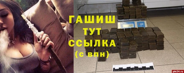 прущие грибы Балахна