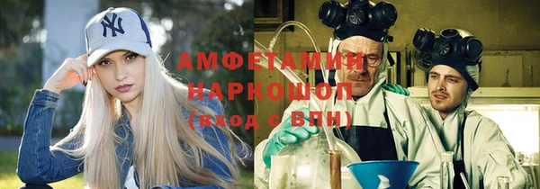 прущие грибы Балахна