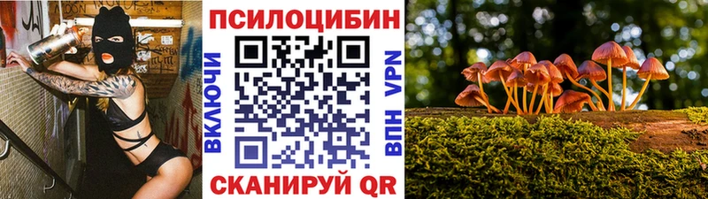 Псилоцибиновые грибы Magic Shrooms Заозёрск